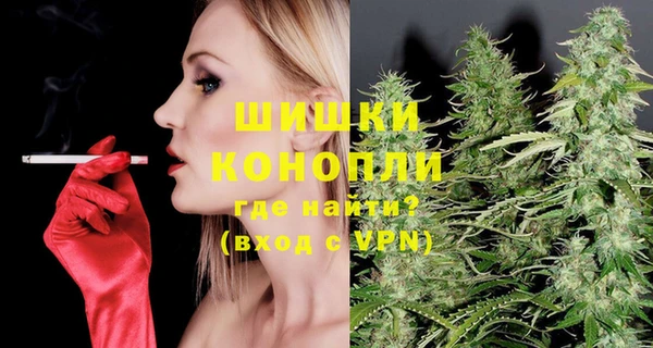 индика Балабаново
