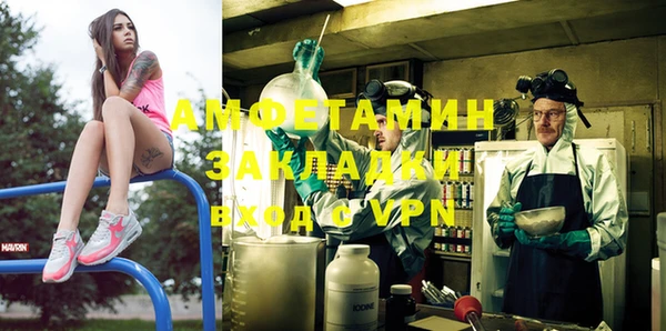 индика Балабаново