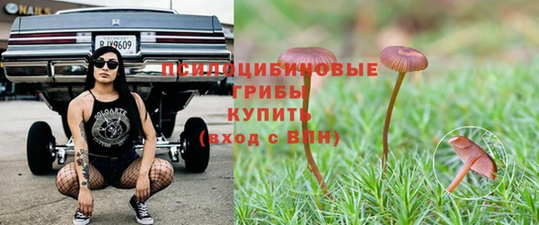 марки nbome Баксан