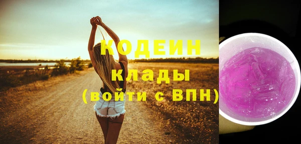 индика Балабаново