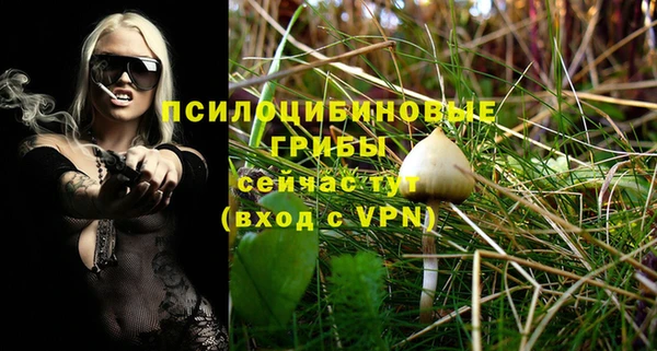 прущая мука Семилуки