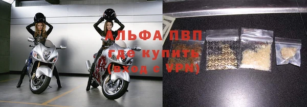 индика Балабаново